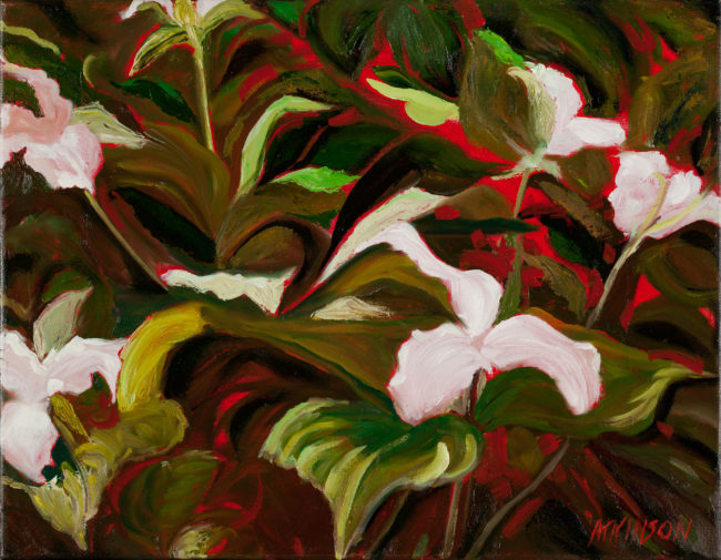 Trilliums